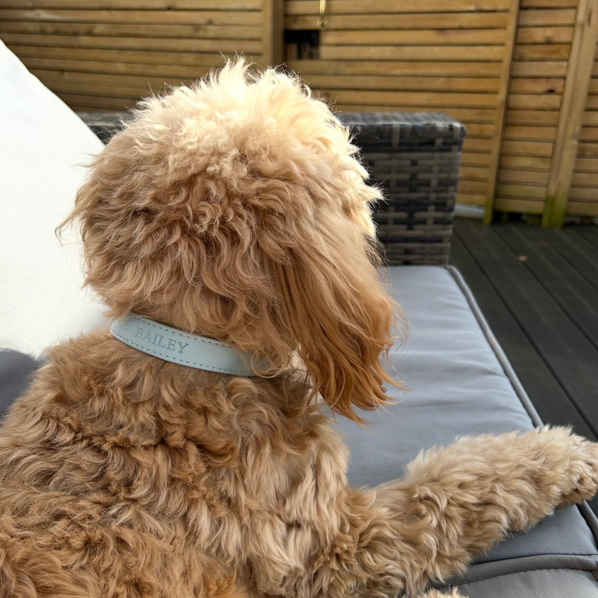 Personalised Vegan Leather Pet Collar